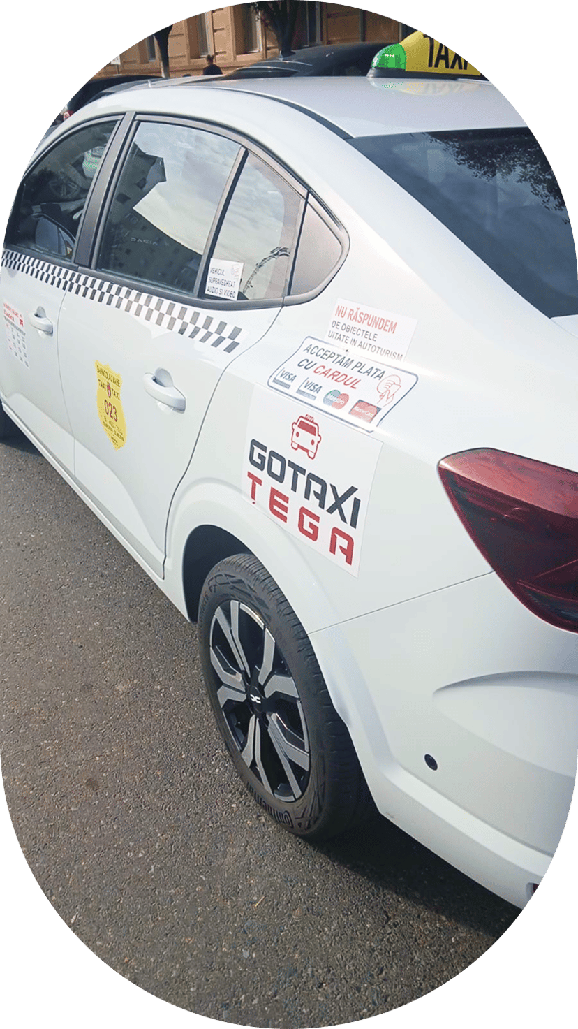 Two people grooming a dog